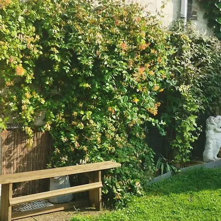 Lejlighed Les Galipes Avize